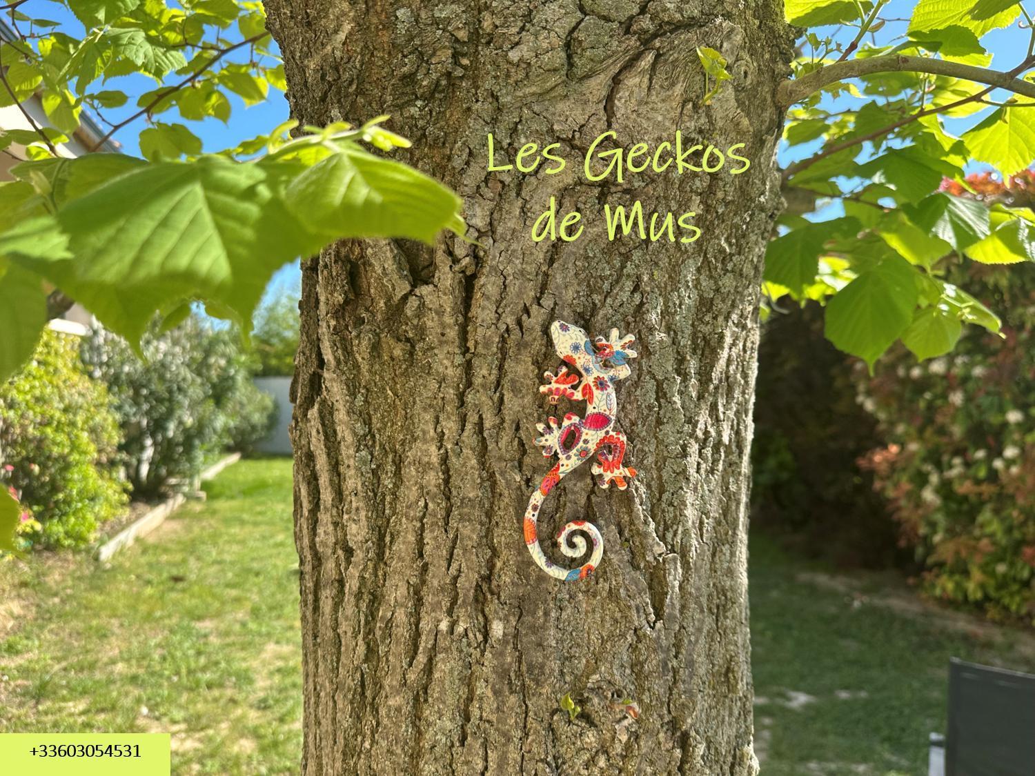 Les Geckos De Mus Apartment Exterior photo